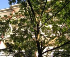 Apartman Apartman 6 prizemlje (5+1) u Sukošan