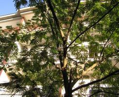 Apartman Soba br. 6 u Sukošan